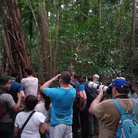 Tangkoko Backpacker Home Stay Rinondoran Buitenkant foto