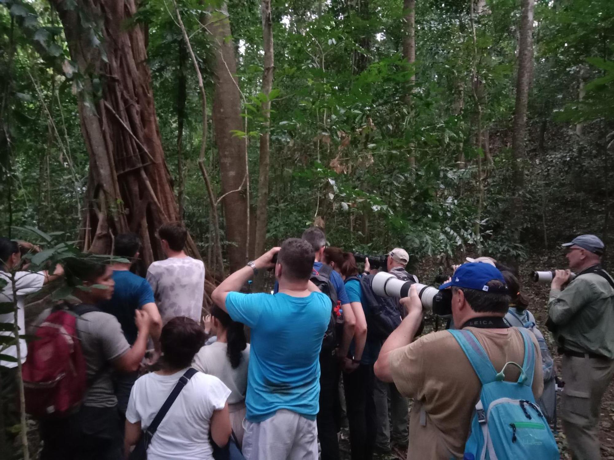 Tangkoko Backpacker Home Stay Rinondoran Buitenkant foto